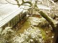 京都大原の民宿～１００年続く希少味噌～大原温泉　大原の里