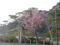 京都・嵐山　ご清遊の宿　らんざん